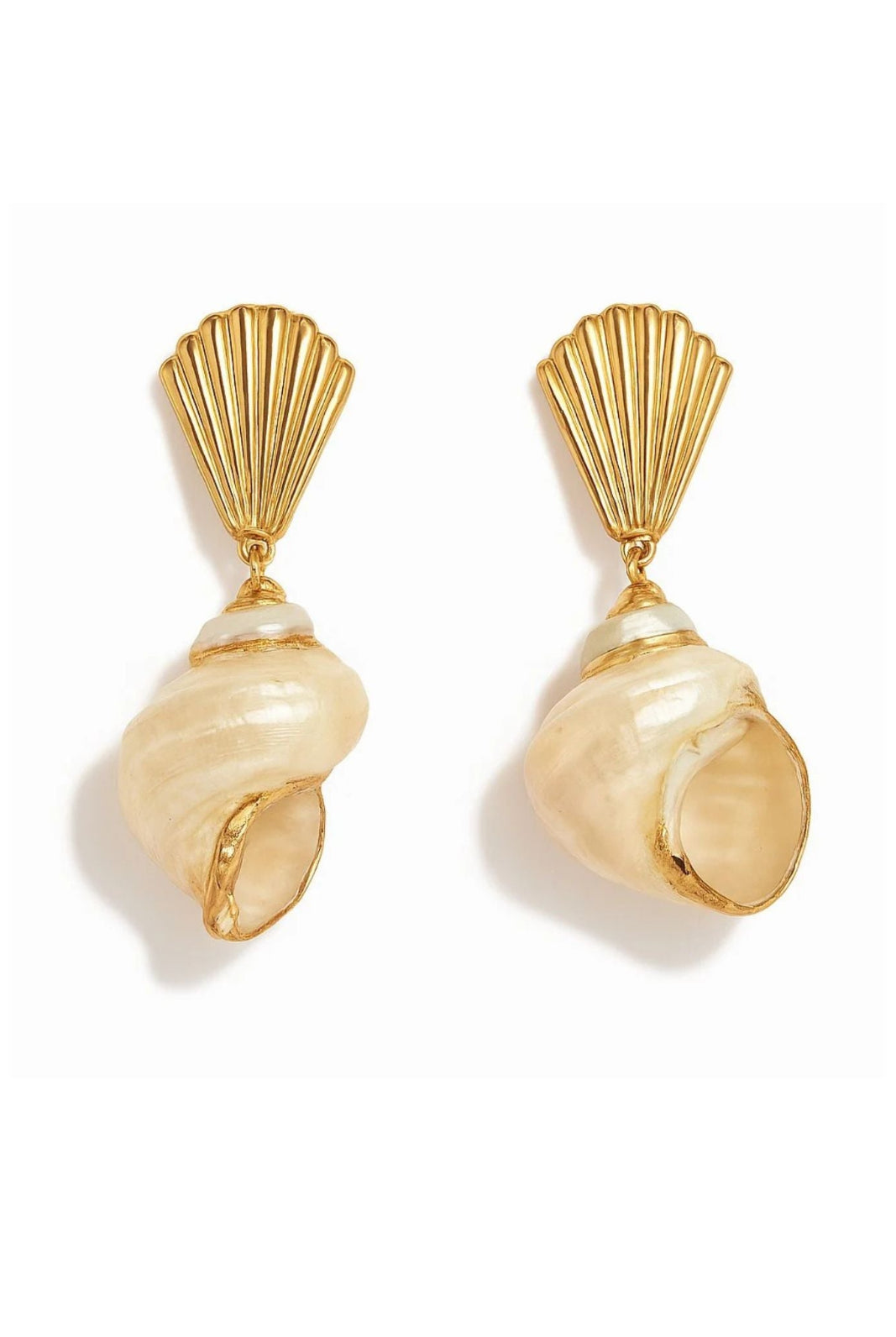 A pair of gold and shell drop earrings on a clean white background. Each earring features a gold fan-shaped stud connected to a realistic cream-colored conch shell dangle.